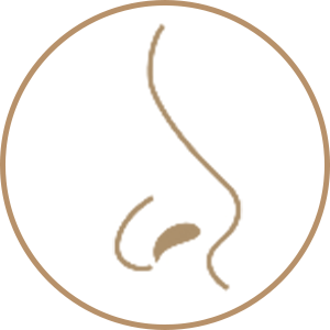 antalya burun estetiği antalya burun estetigi